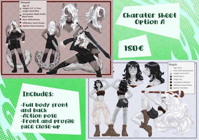 Character sheet A